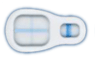 Pregnancy test result