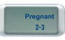 Pregnant 2-3